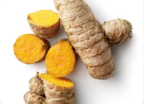 Turmeric Plant