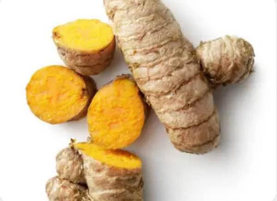 Turmeric Plant