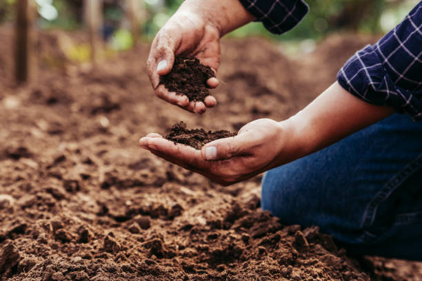 Soil Amendments