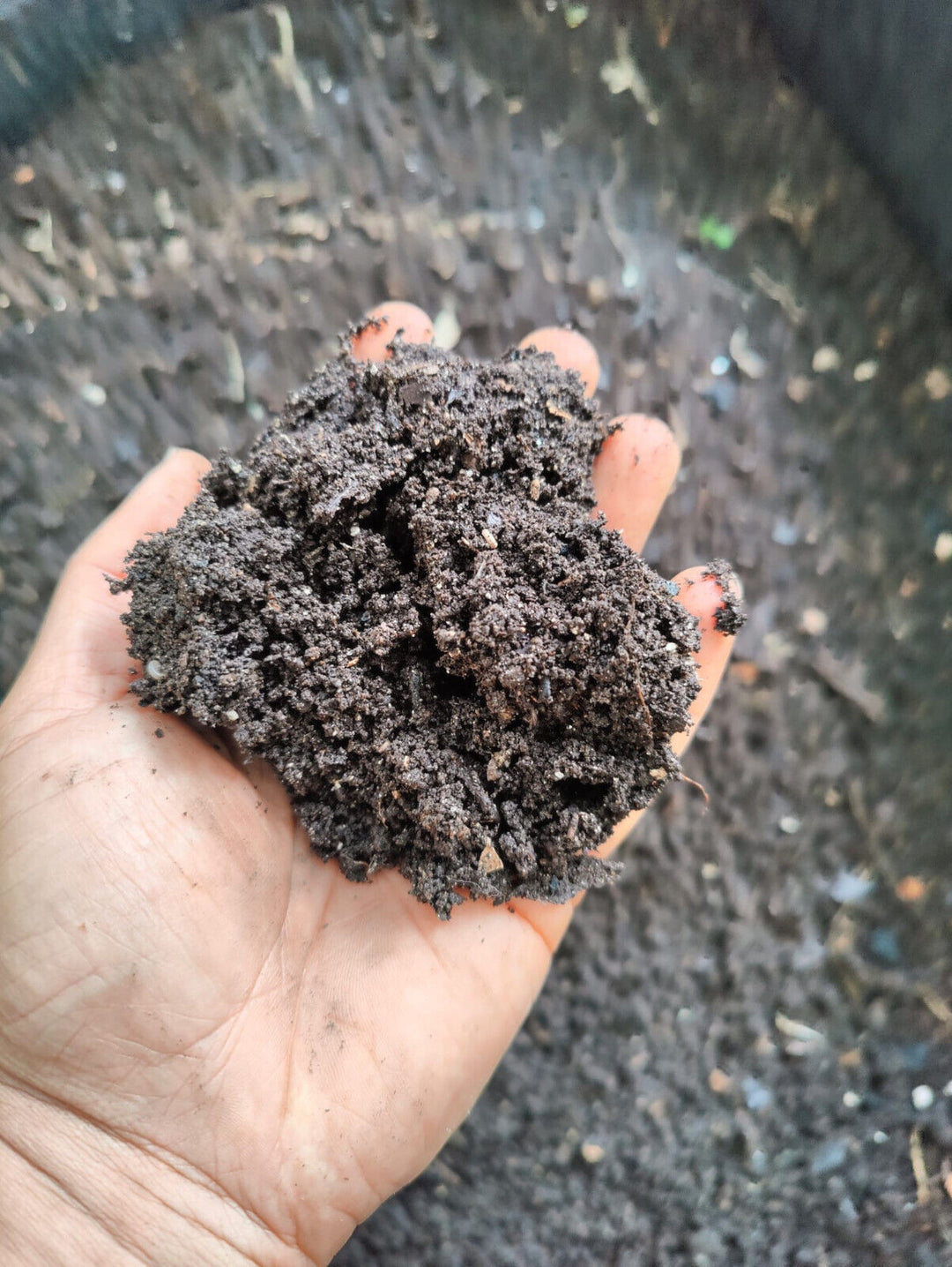 Organic Fresh Worm Castings Compost Natural Garden Soil Plant Fertilizer